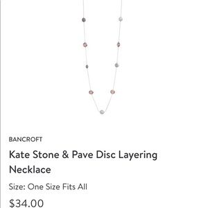 Brand new pave and stone layering necklace